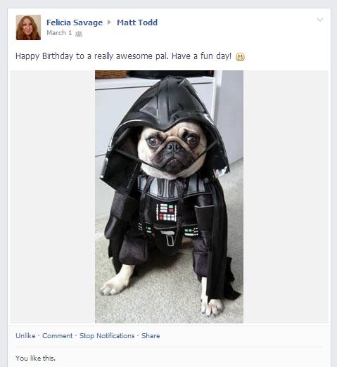 Pug Darth Vader