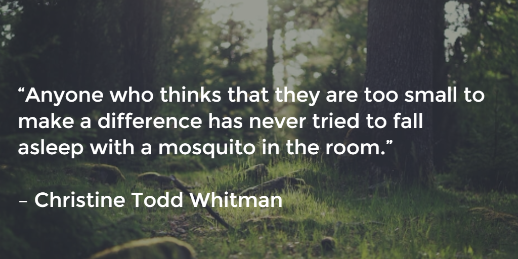 Anyone who thinks that they are too small to make a difference has never tried to fall asleep with a mosquito in the room. - Christine Todd Whitman