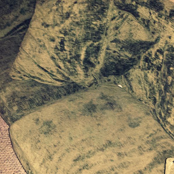There is the bone hiding in the couch #BrightMind #ad