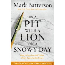 in-a-pit-with-a-lion-on-a-snowy-day
