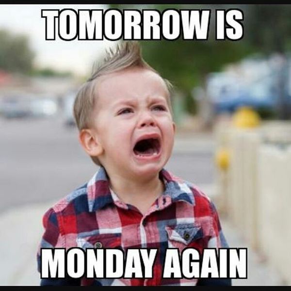 Tomorrow is Monday meme - Life in the Fishbowl