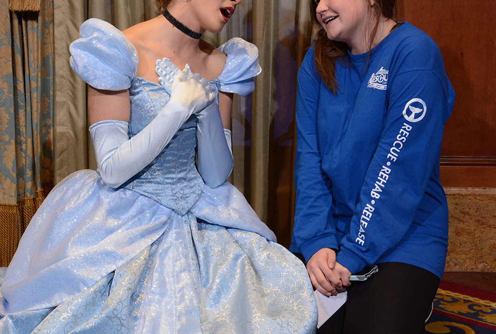 Aly and Cinderella at Magic Kingdom in 2019