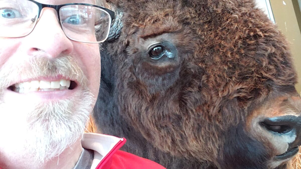 Selfie of me with a stuffed bison. 